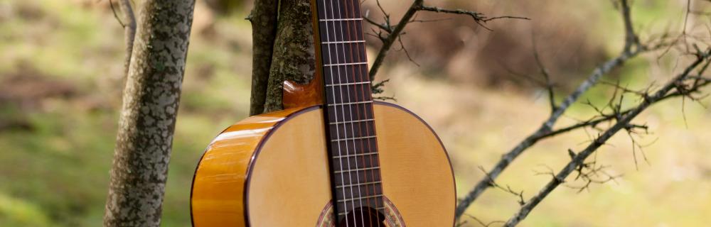 Billede af guitar i skov