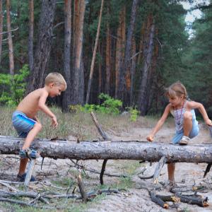 Billede af to børn der kravler på en træstamme i skoven. Credit: Colorbox
